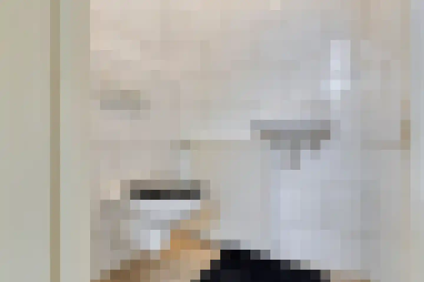 G.L.Rutgersweg 55 a Neede thumbnail 10