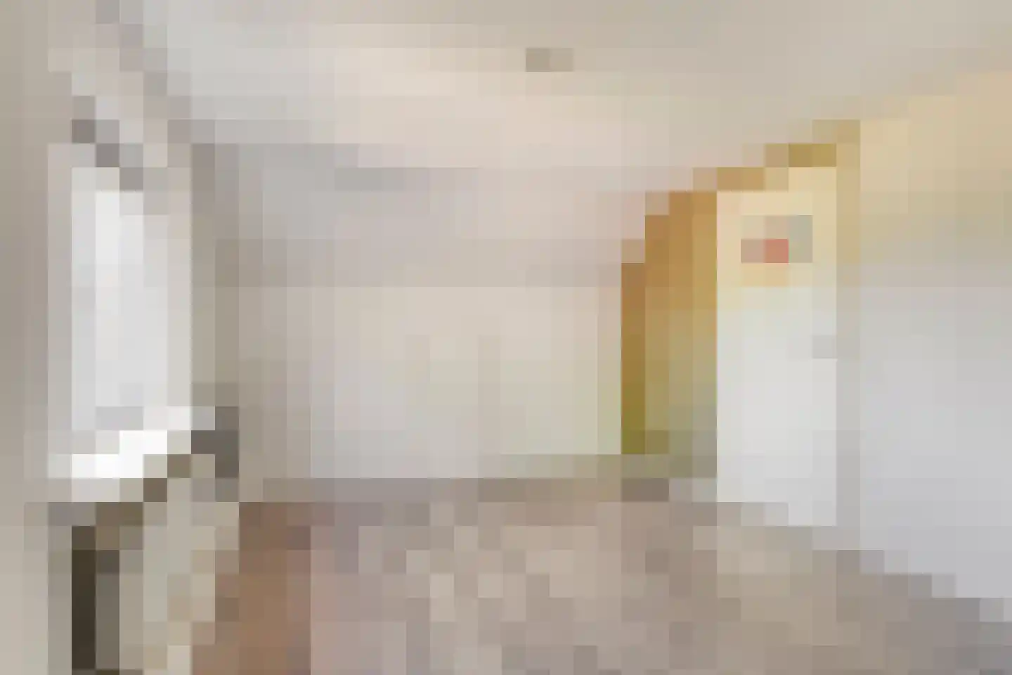 G.L.Rutgersweg 55 a Neede thumbnail 24