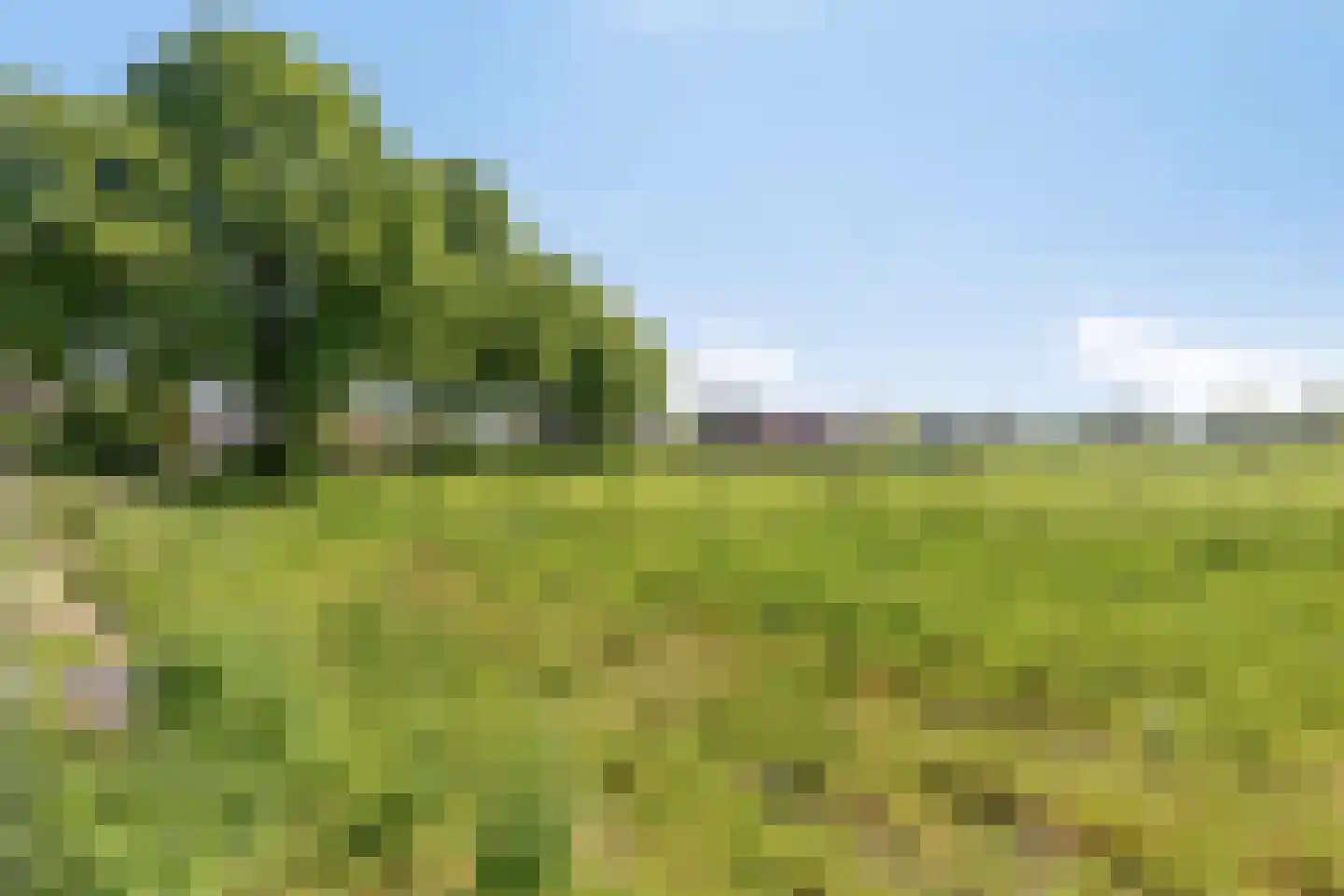G.L.Rutgersweg 55 a Neede thumbnail 39