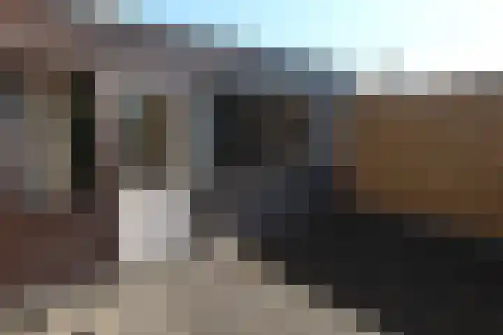 G. Leegwaterhof 13 Purmerend thumbnail 24