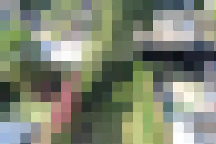 G. Leegwaterhof 13 Purmerend thumbnail 25