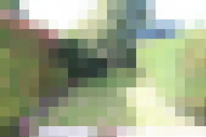 G. Leegwaterhof 13 Purmerend thumbnail 27