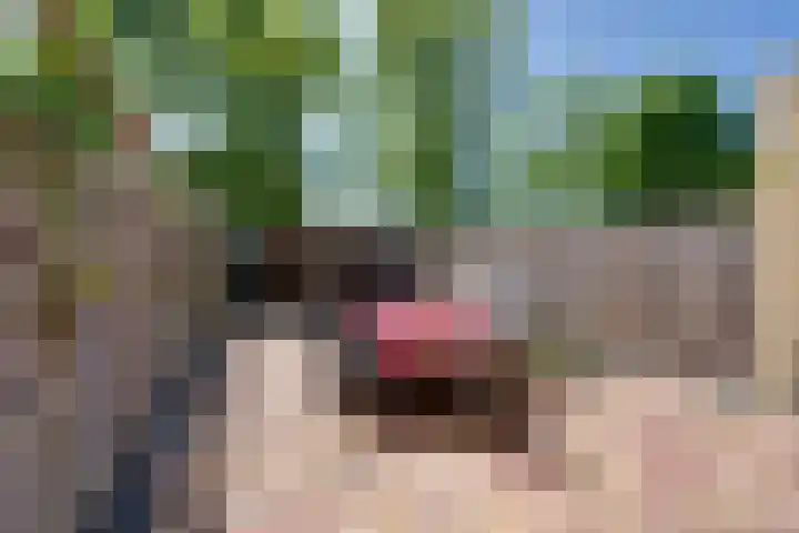 G. Leegwaterhof 7 Purmerend thumbnail 18