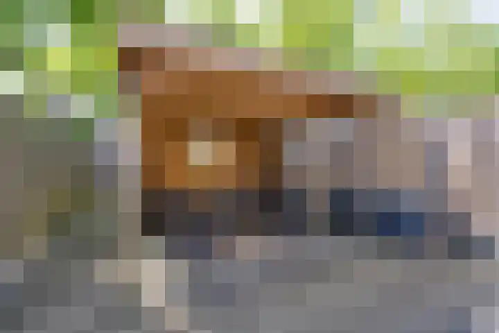 G. Leegwaterhof 7 Purmerend thumbnail 19