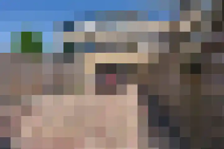 G. Leegwaterhof 7 Purmerend thumbnail 32