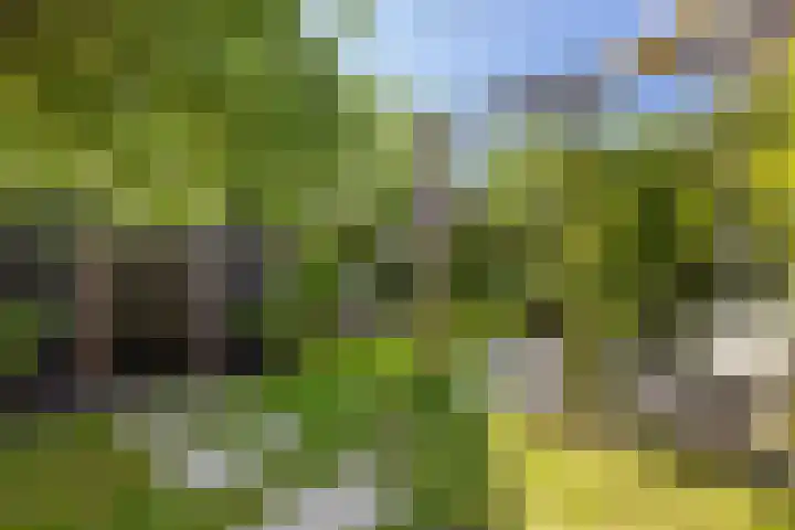 G. Marconistraat 4 Almere thumbnail 35