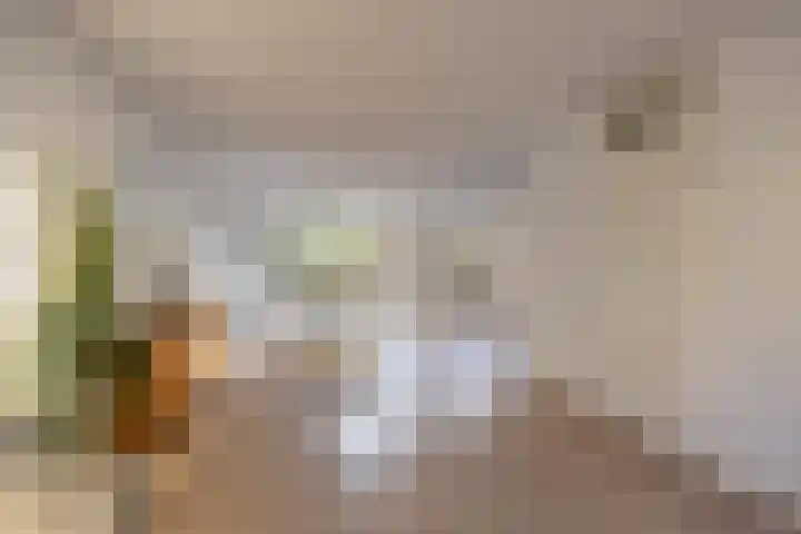 G. Meirstraat 1 Groningen thumbnail 11