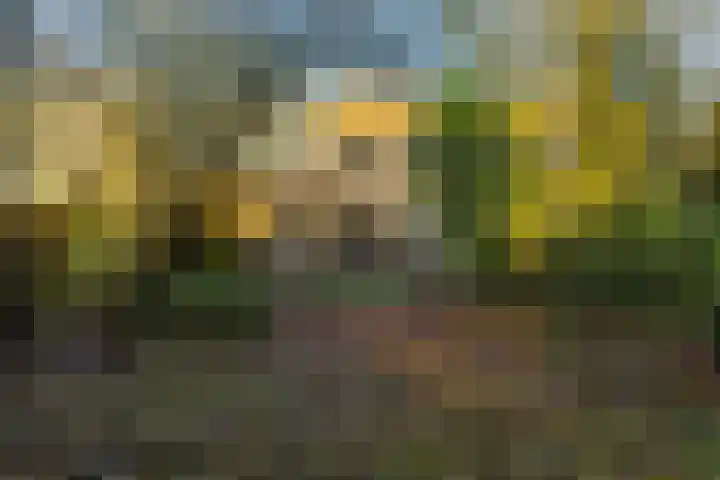 G. Meirstraat 1 Groningen thumbnail 24