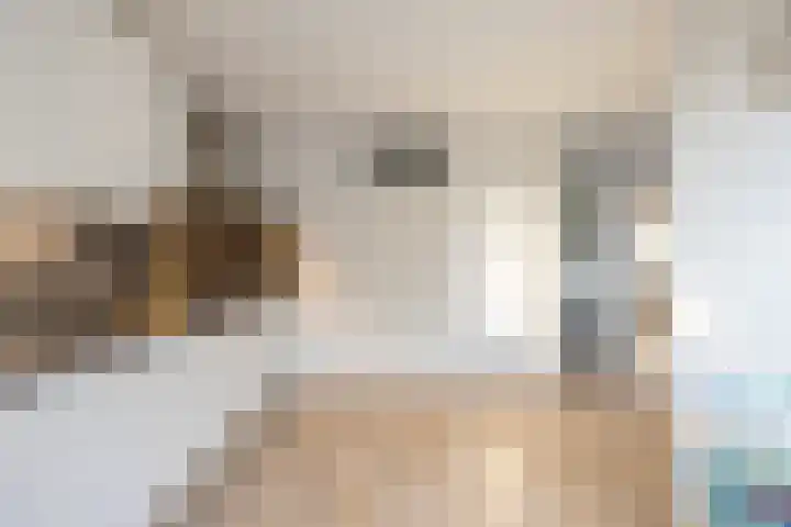 G. Meirstraat 1 Groningen thumbnail 4