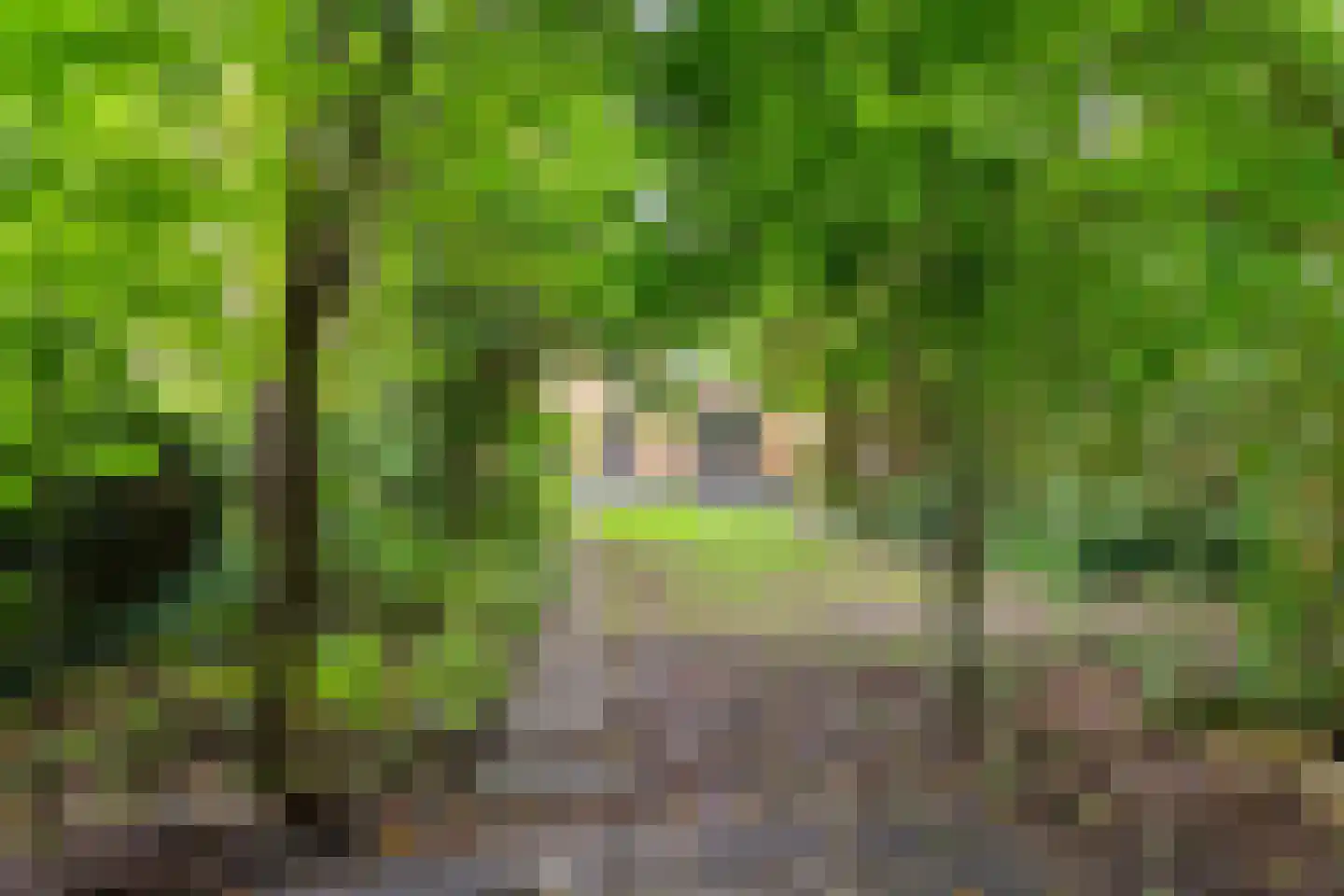 G. Meirstraat 15 Groningen thumbnail 24