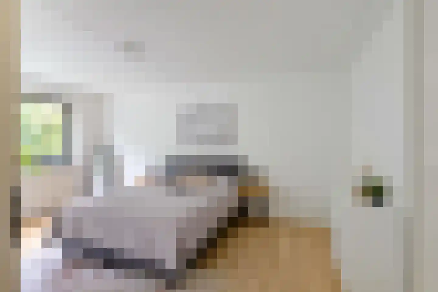 G. Meirstraat 15 Groningen thumbnail 28