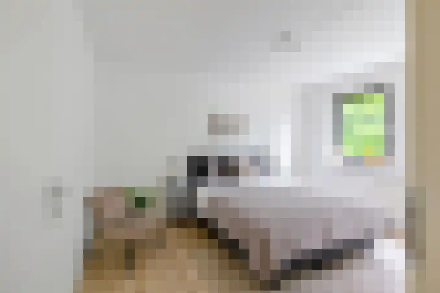 G. Meirstraat 15 Groningen thumbnail 31