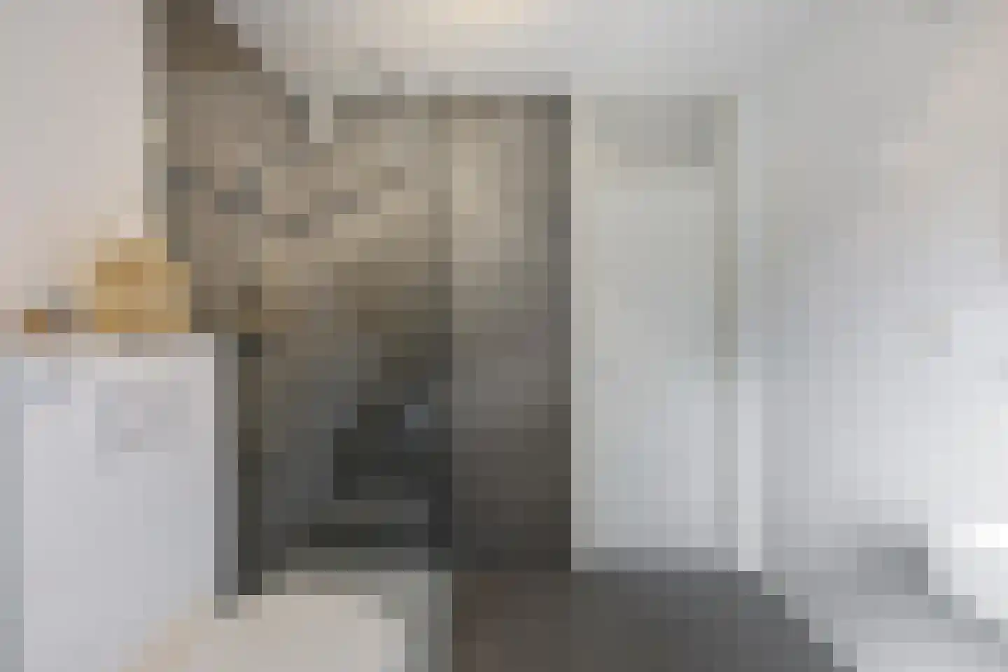 G. Meirstraat 15 Groningen thumbnail 37