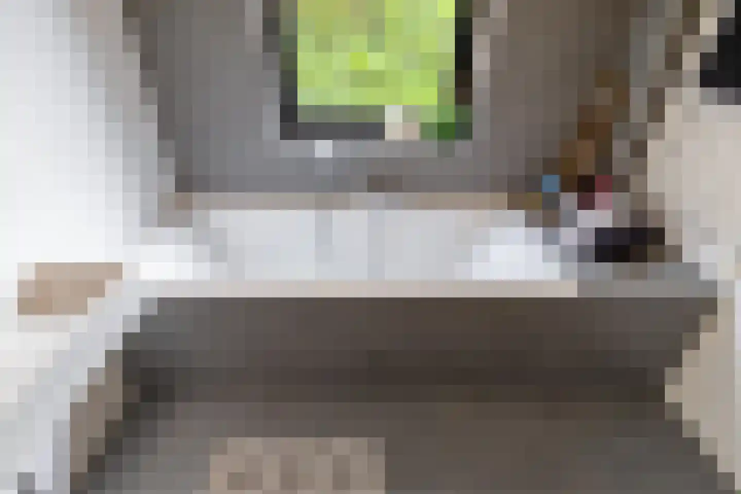 G. Meirstraat 15 Groningen thumbnail 38