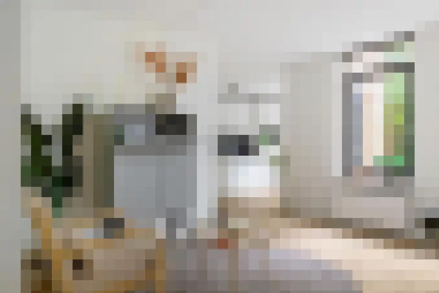 G. Meirstraat 15 Groningen thumbnail 4