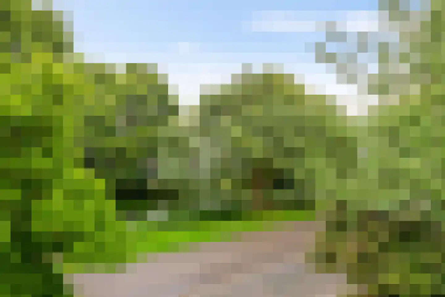 G. Meirstraat 15 Groningen thumbnail 46
