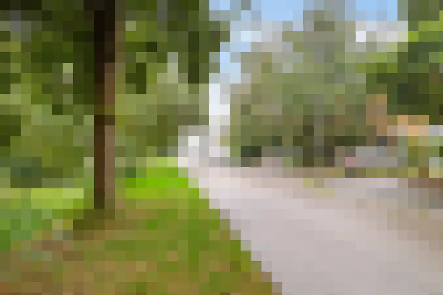 G. Meirstraat 15 Groningen thumbnail 52