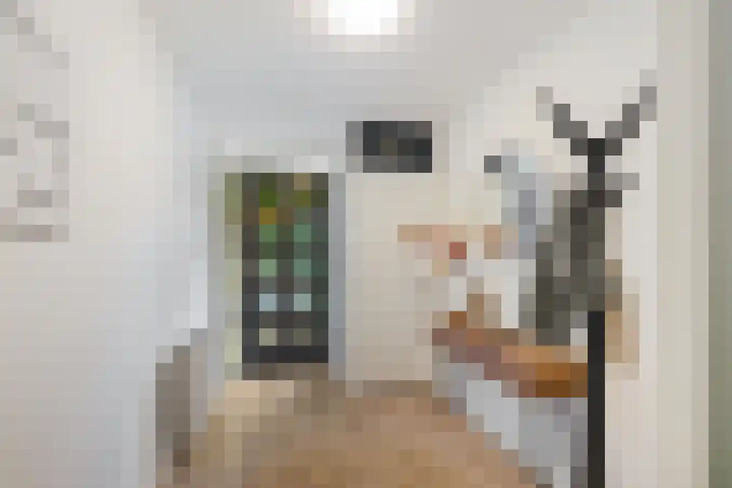 G. Meirstraat 15 Groningen thumbnail 7