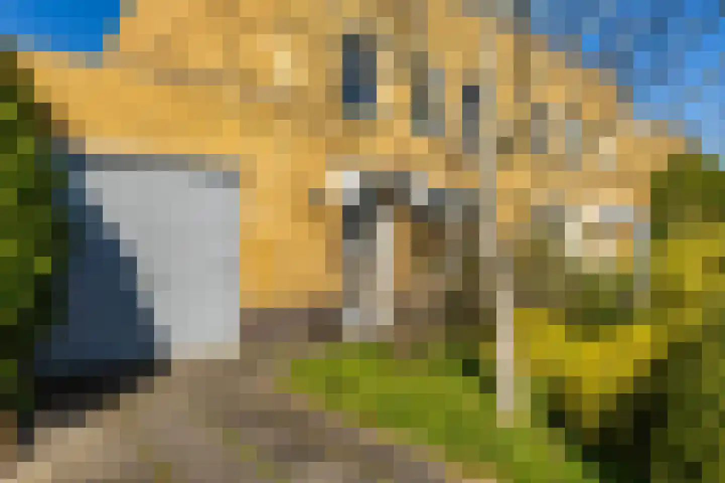 G. Meirstraat 27 Groningen thumbnail 6