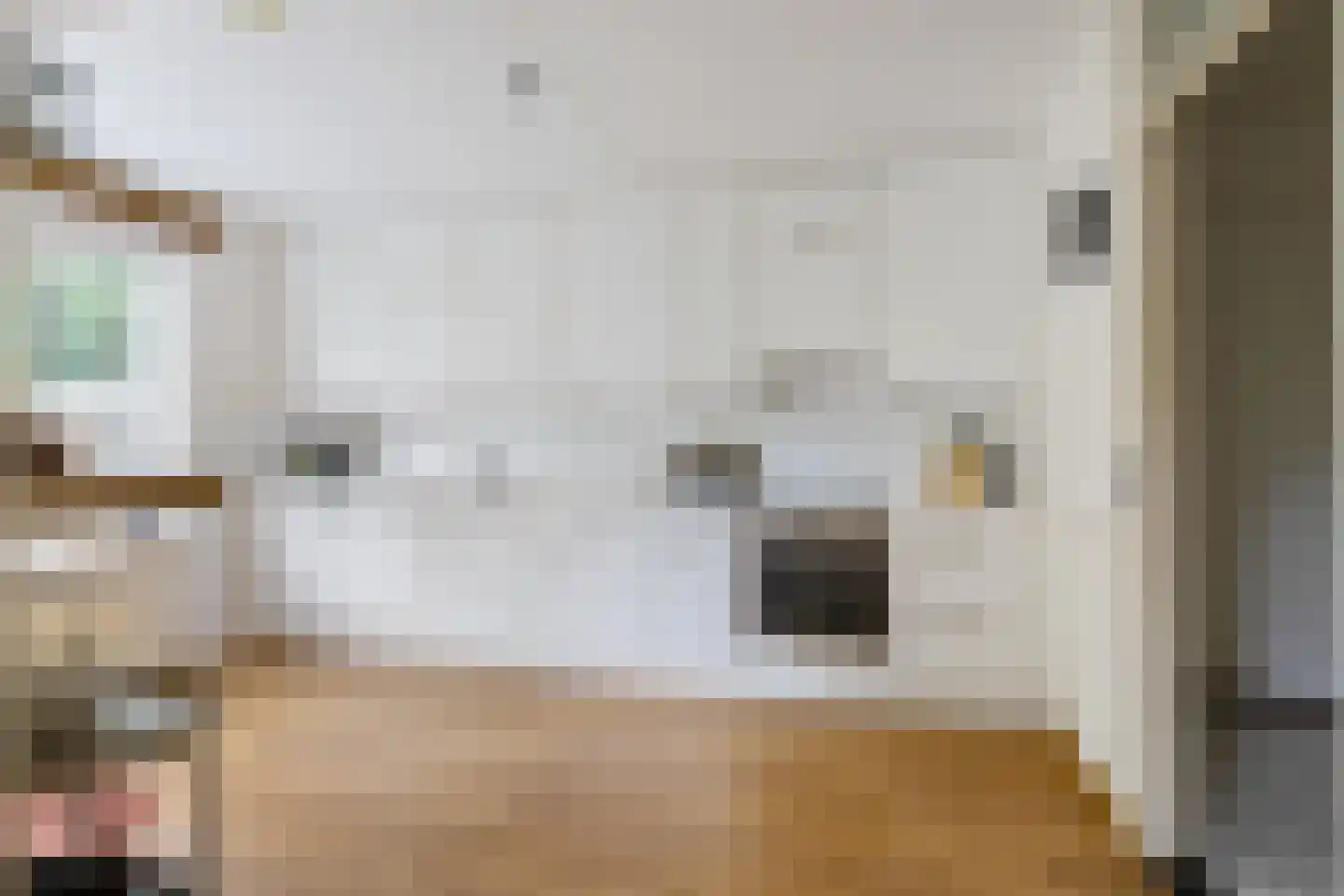 G. Meirstraat 9 Groningen thumbnail 18