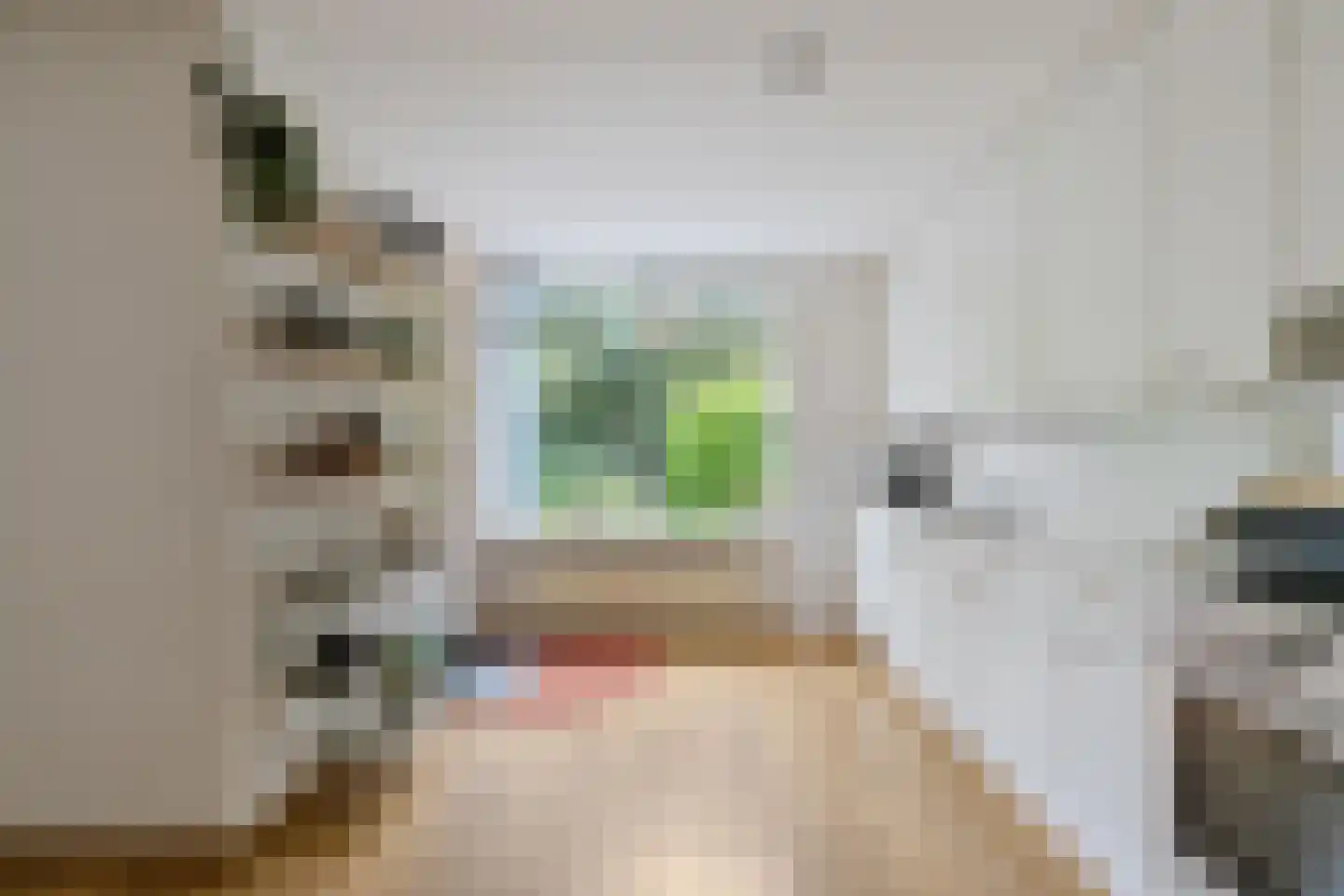 G. Meirstraat 9 Groningen thumbnail 19