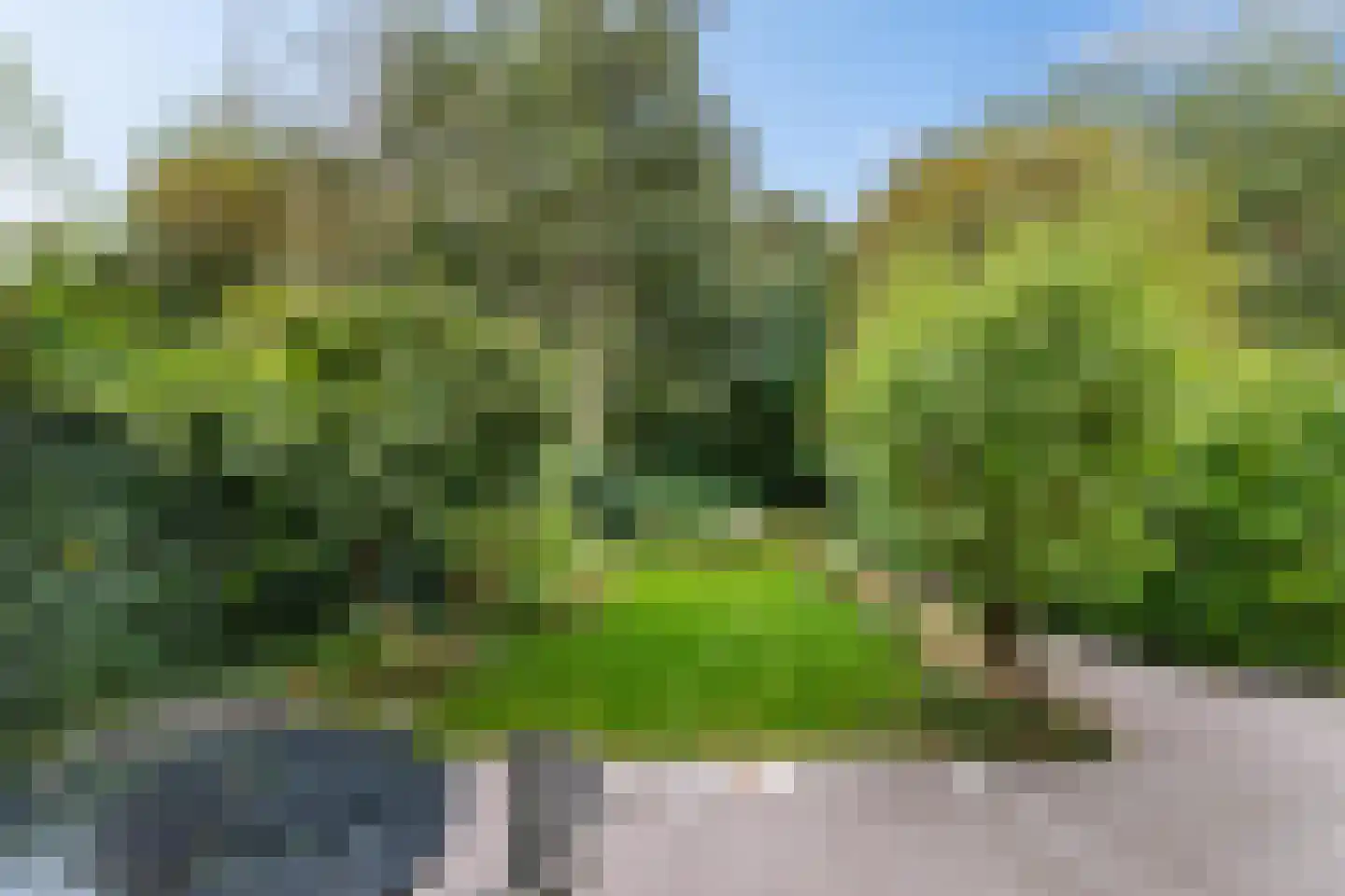 G. Meirstraat 9 Groningen thumbnail 24