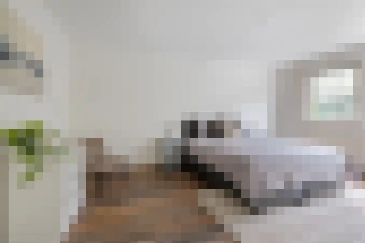 G. Meirstraat 9 Groningen thumbnail 30