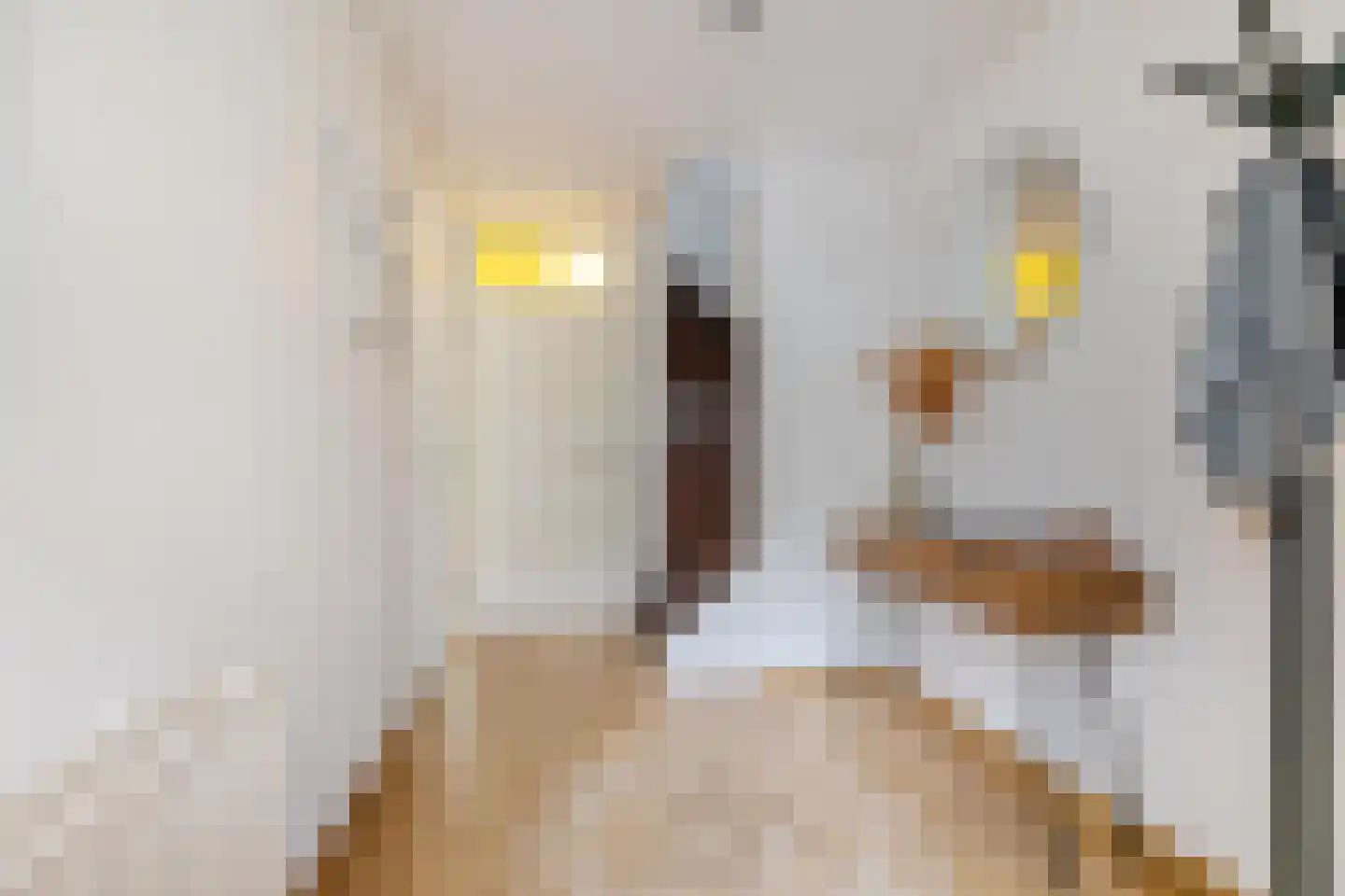 G. Meirstraat 9 Groningen thumbnail 8