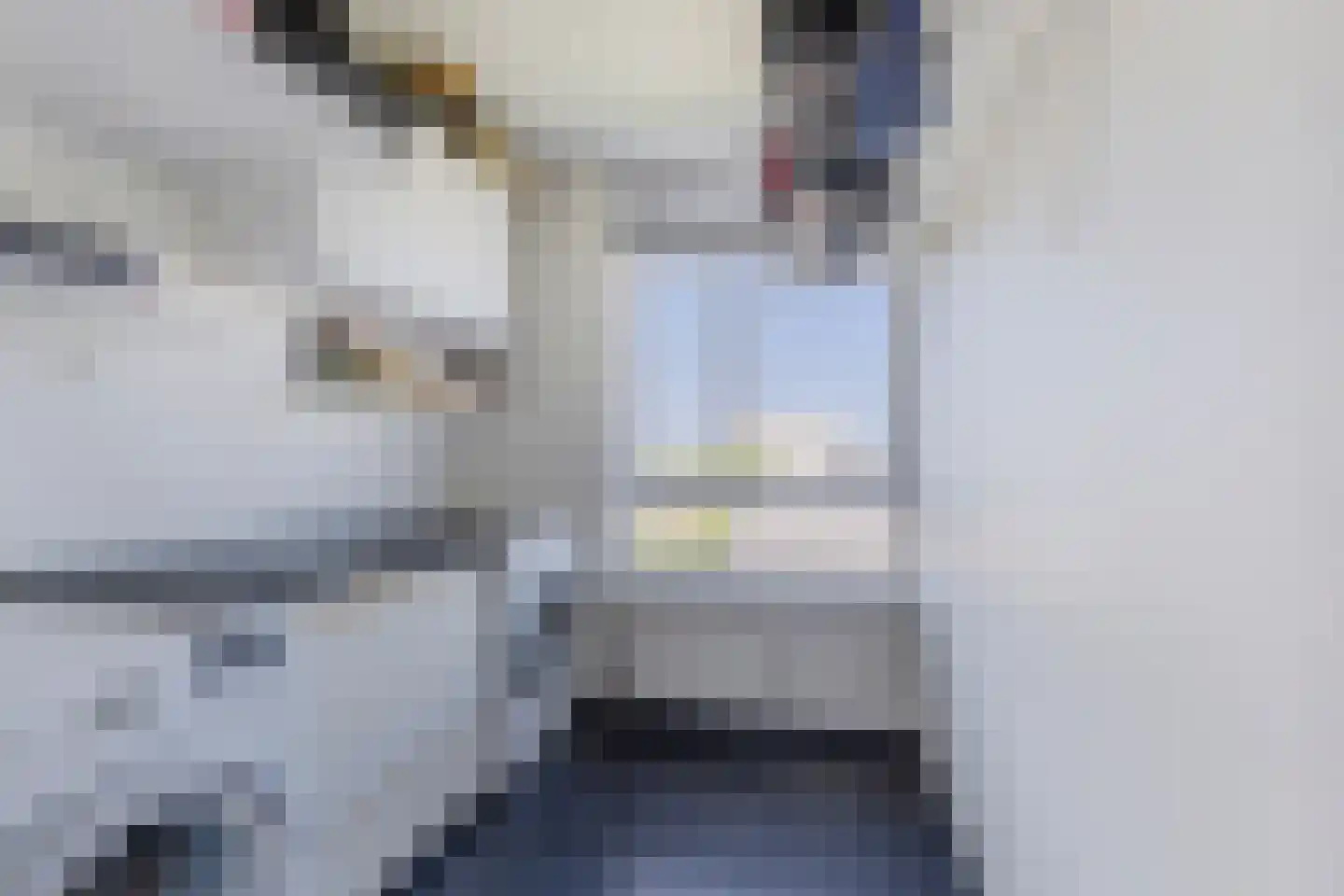 G. Molstraat 2 Zaandam thumbnail 30
