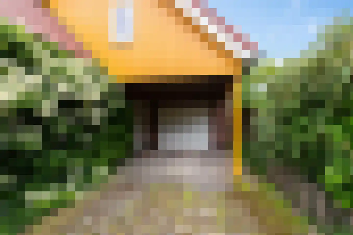 G.N. Schutterlaan 18 Thesinge thumbnail 6