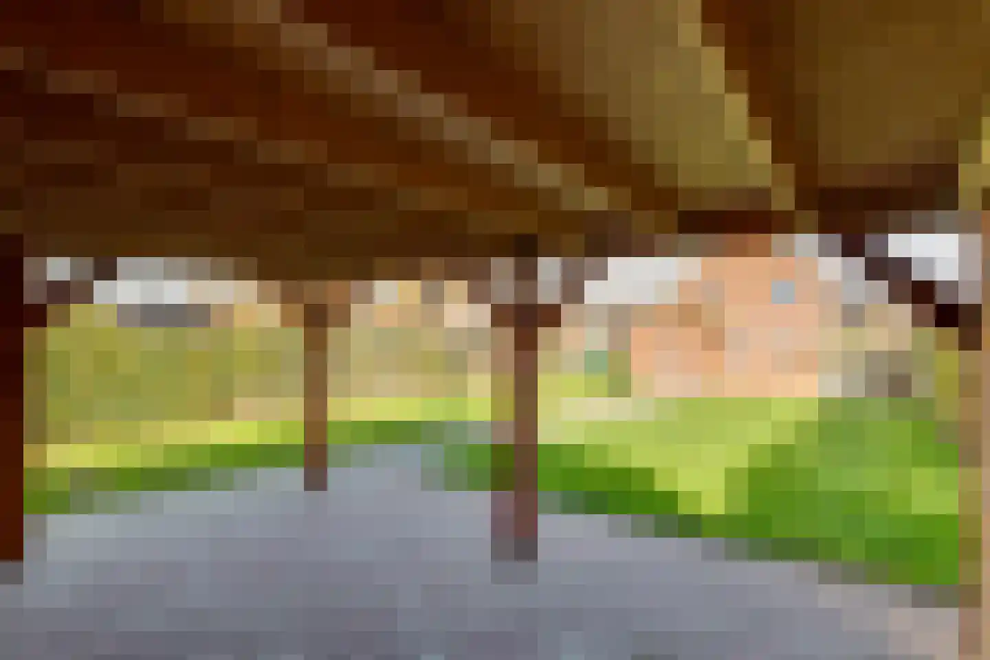 G.P.Beukemalaan 28 Grootegast thumbnail 44