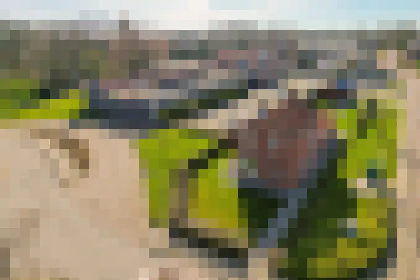 G.P.Beukemalaan 28 Grootegast thumbnail 51