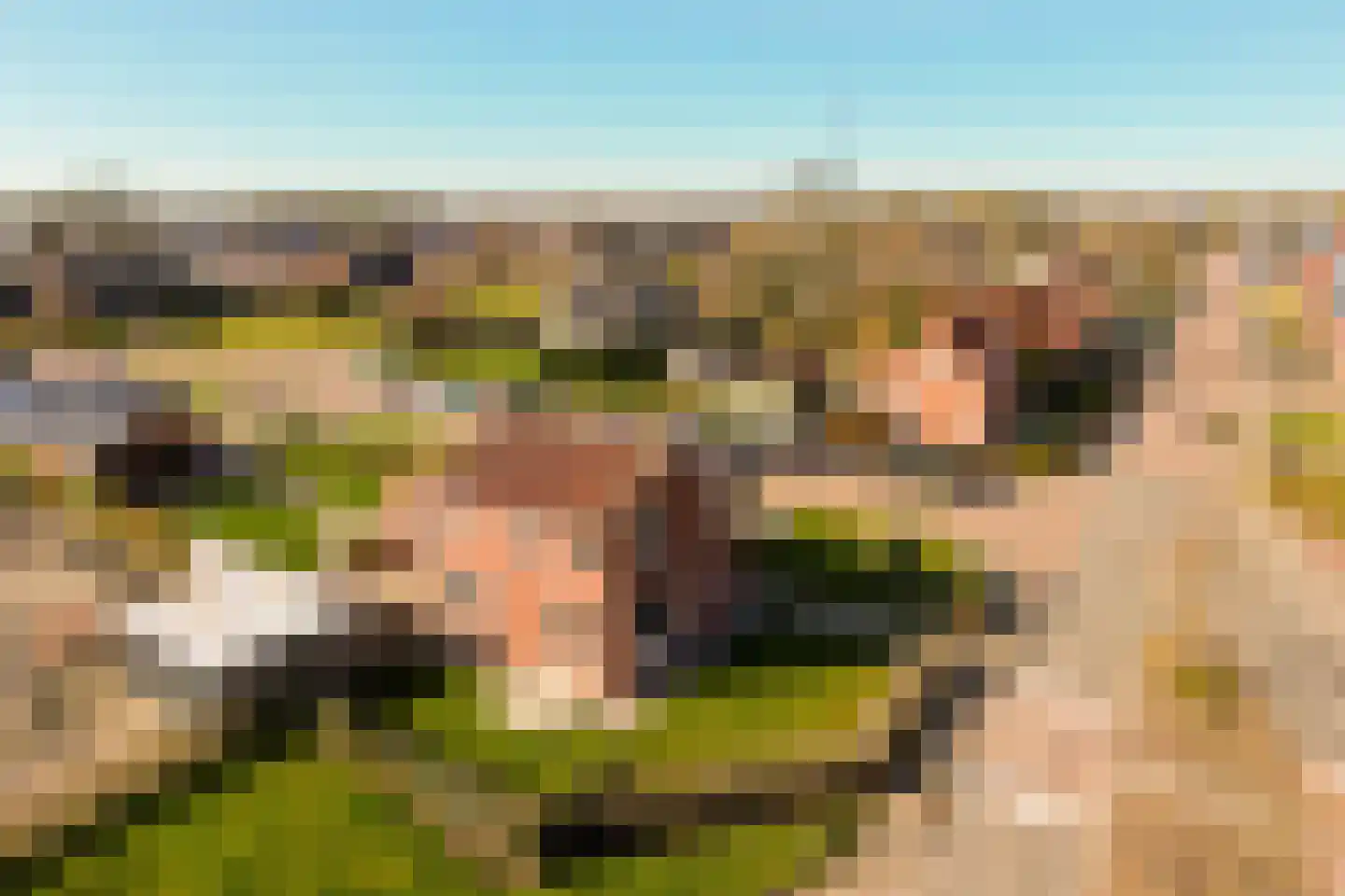 G.P.Beukemalaan 28 Grootegast thumbnail 52