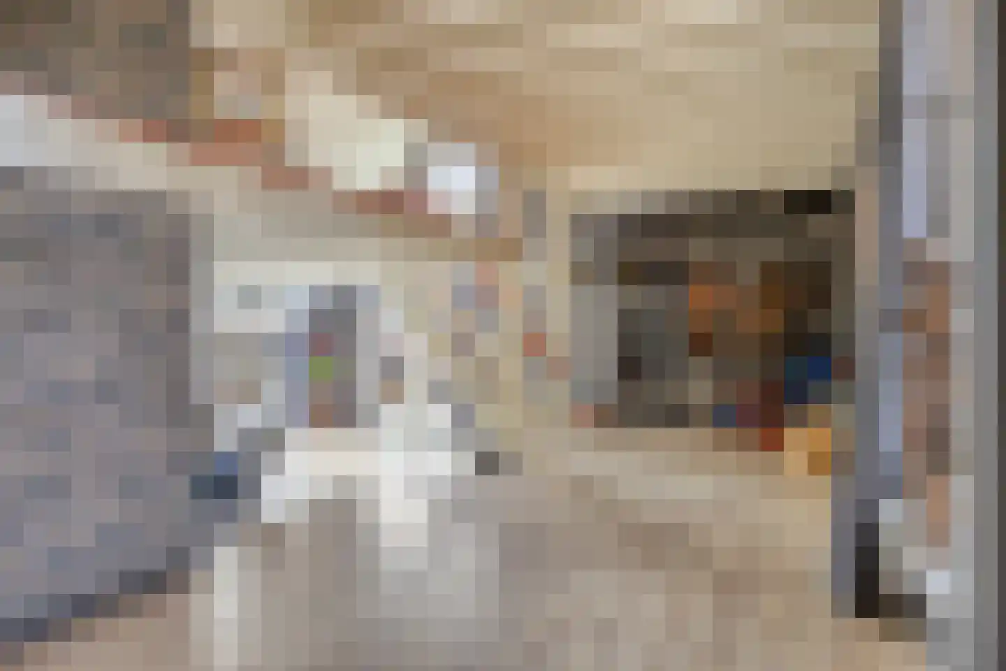 G.P. Duuringlaan 12 Ugchelen thumbnail 13