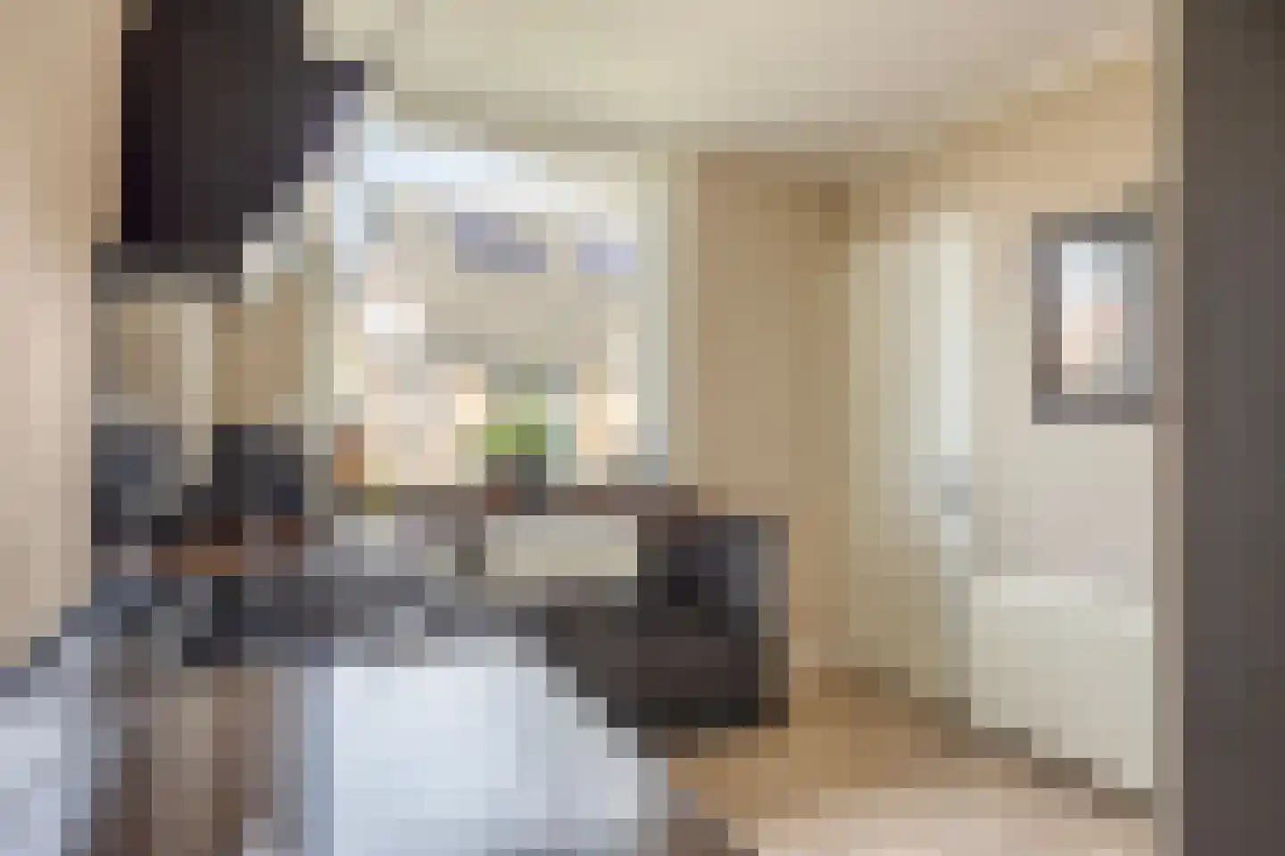 G.P. Duuringlaan 12 Ugchelen thumbnail 18