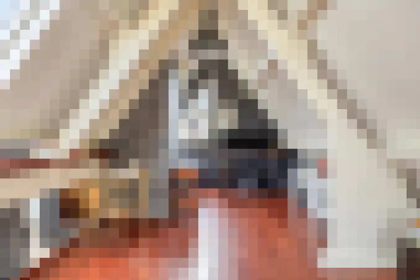 G.P. Duuringlaan 12 Ugchelen thumbnail 26