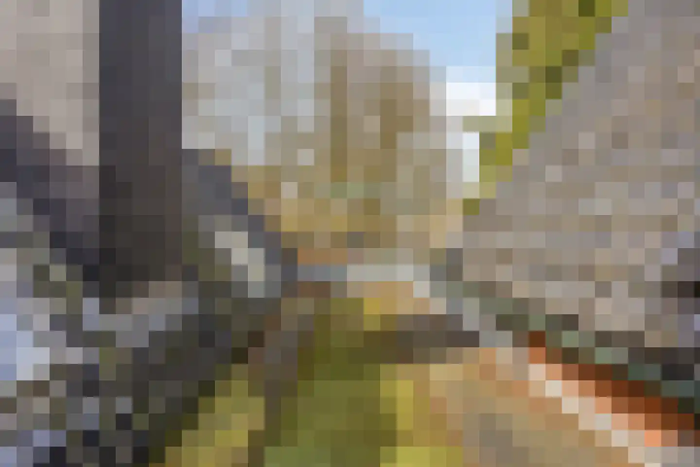 G.P. Duuringlaan 12 Ugchelen thumbnail 41