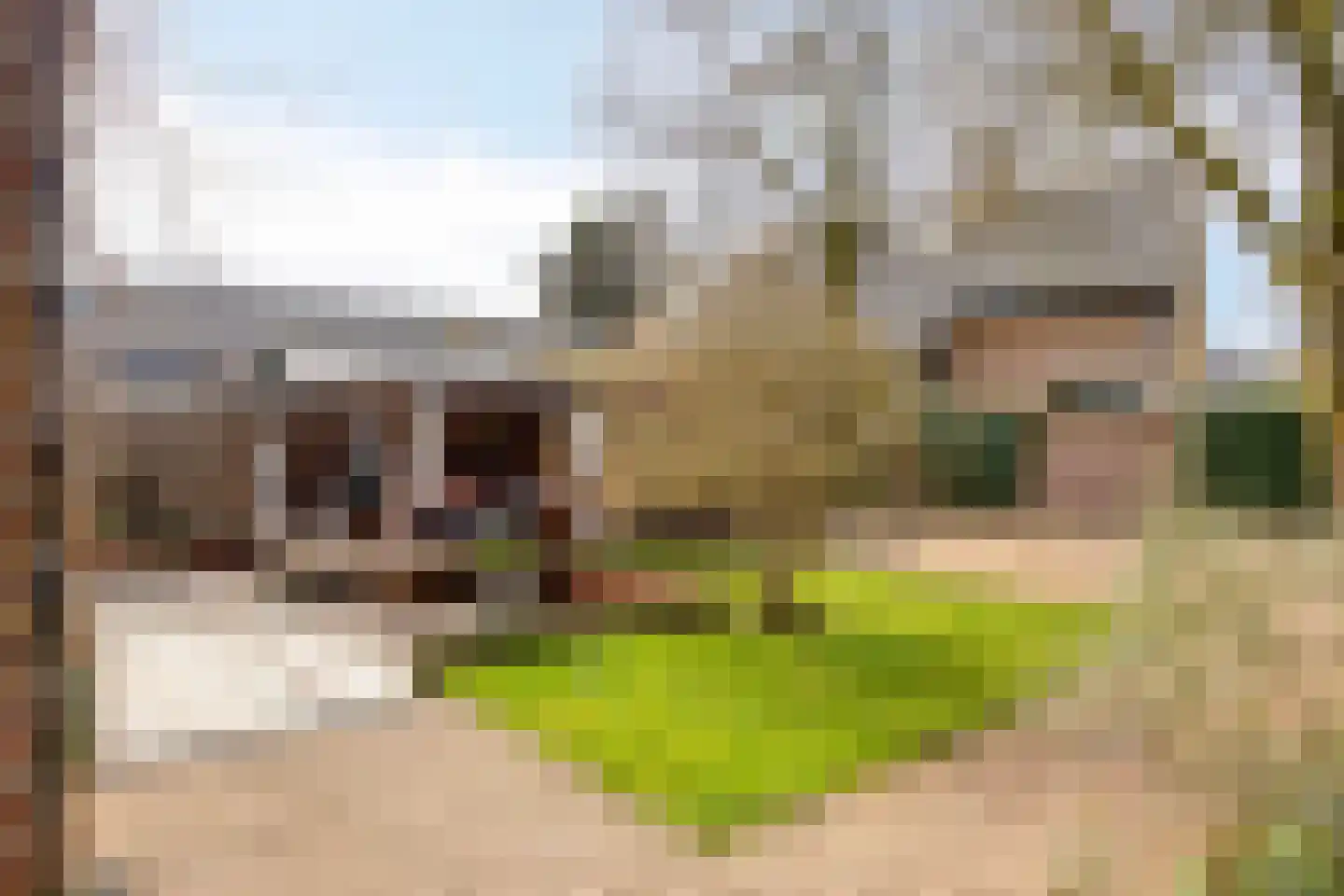 G.P. Duuringlaan 12 Ugchelen thumbnail 49