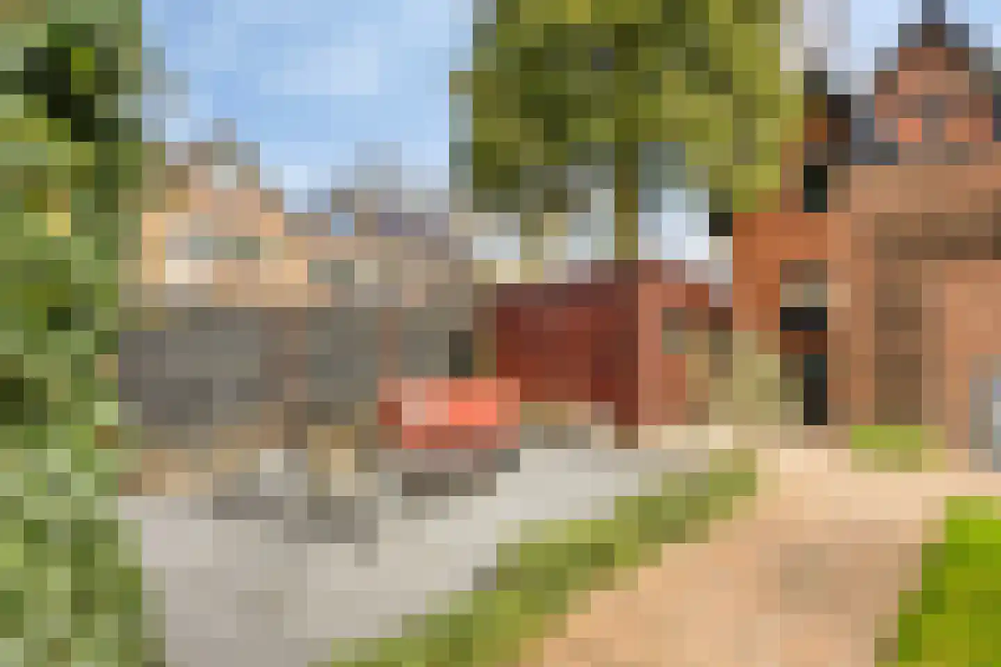 G.P. Duuringlaan 12 Ugchelen thumbnail 53