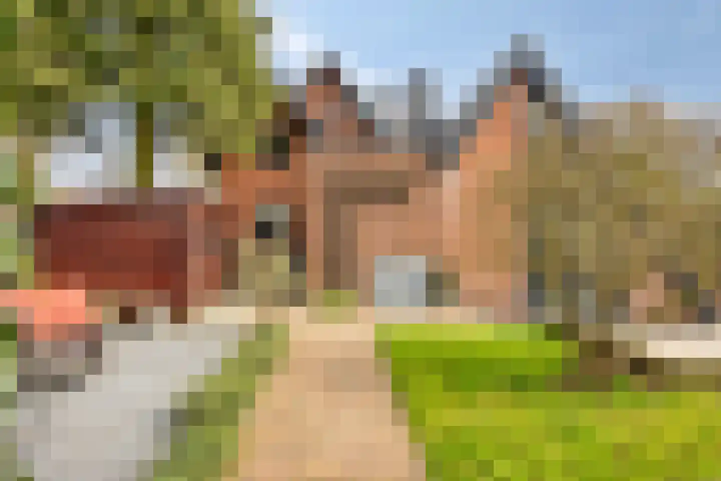 G.P. Duuringlaan 12 Ugchelen thumbnail 54