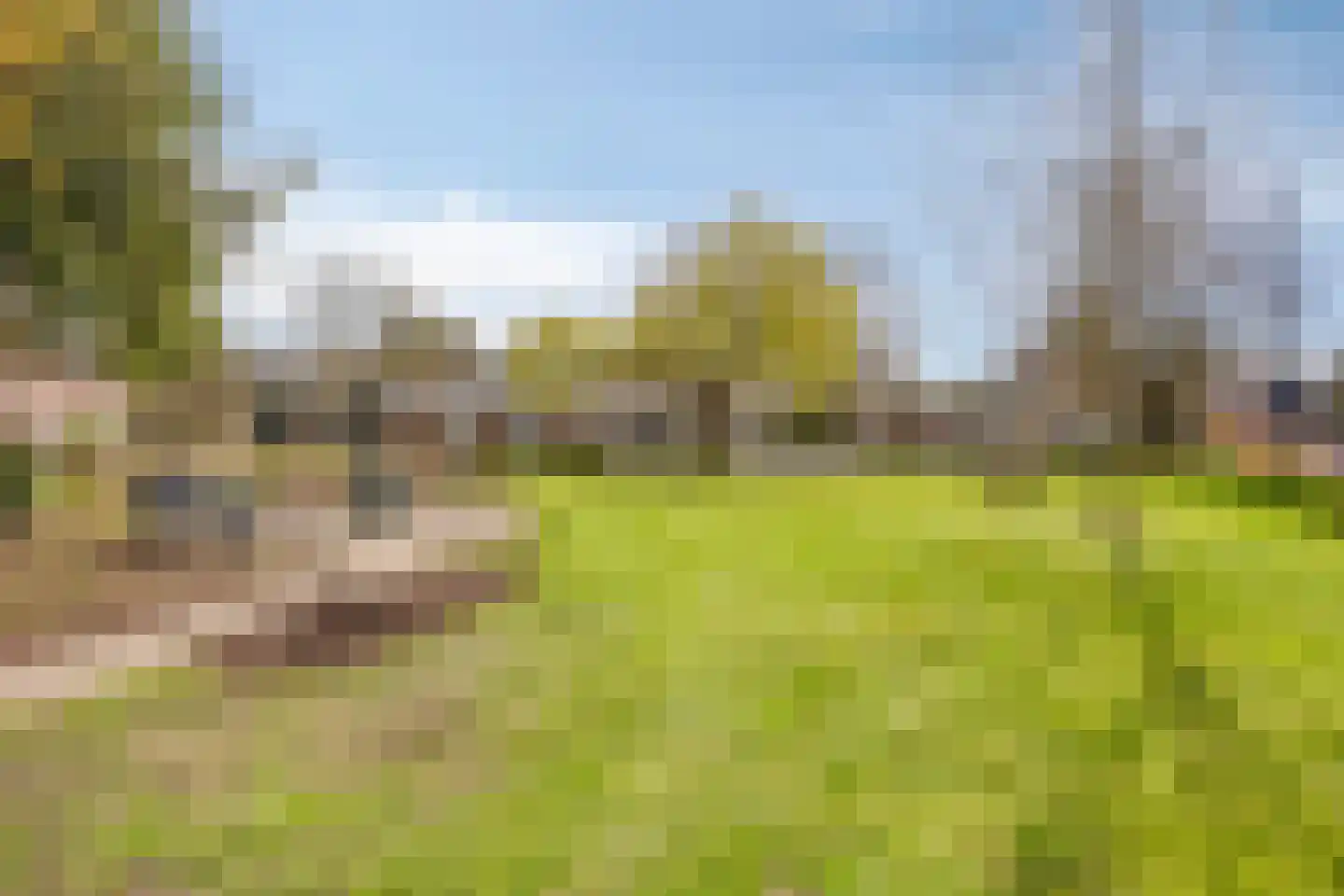 G.P. Duuringlaan 12 Ugchelen thumbnail 65