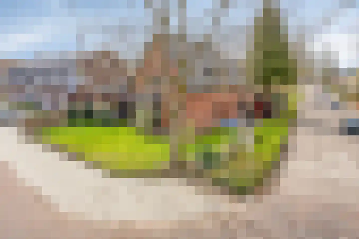 G.P. Duuringlaan 12 Ugchelen thumbnail 66