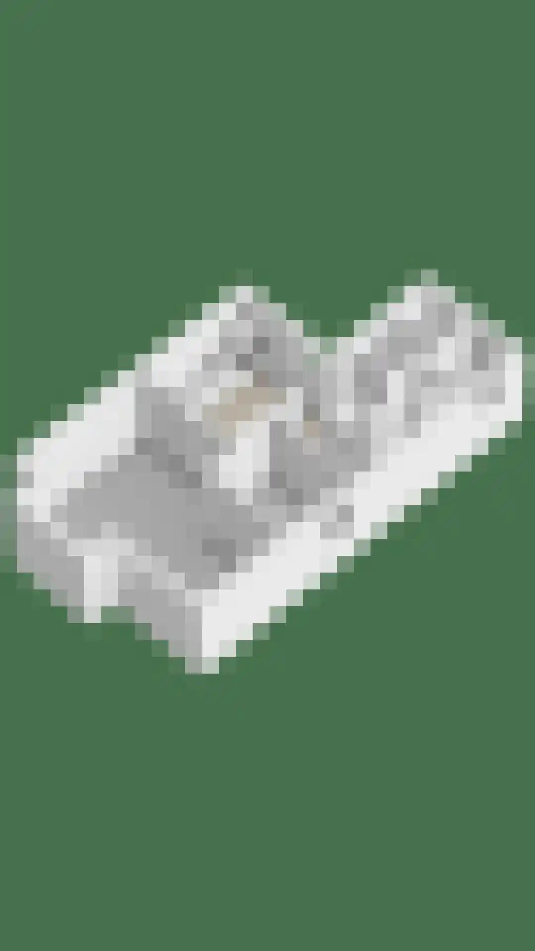 G.P. Duuringlaan 12 Ugchelen thumbnail 81