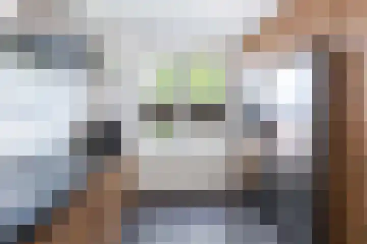 G.P. Duuringlaan 24 Ugchelen thumbnail 12