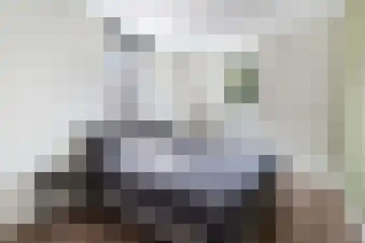 G.P. Duuringlaan 24 Ugchelen thumbnail 16