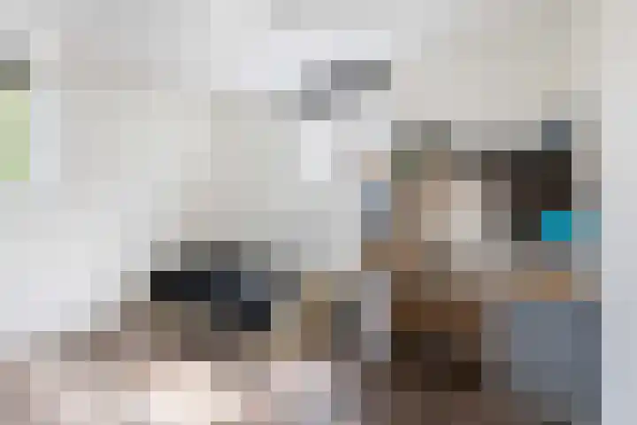 G.P. Duuringlaan 24 Ugchelen thumbnail 19