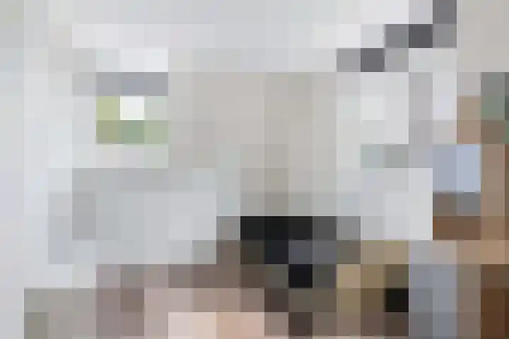 G.P. Duuringlaan 24 Ugchelen thumbnail 20