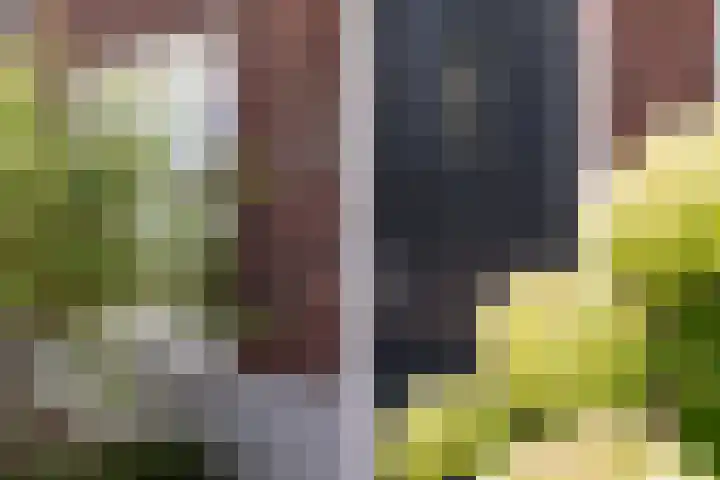 G.P. Duuringlaan 24 Ugchelen thumbnail 4