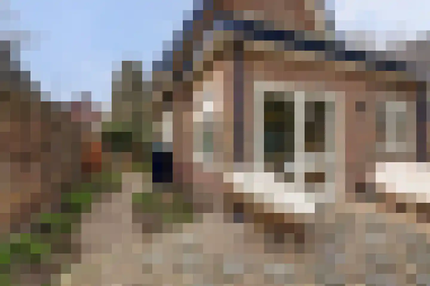 G.P. Duuringlaan 41 Ugchelen thumbnail 21