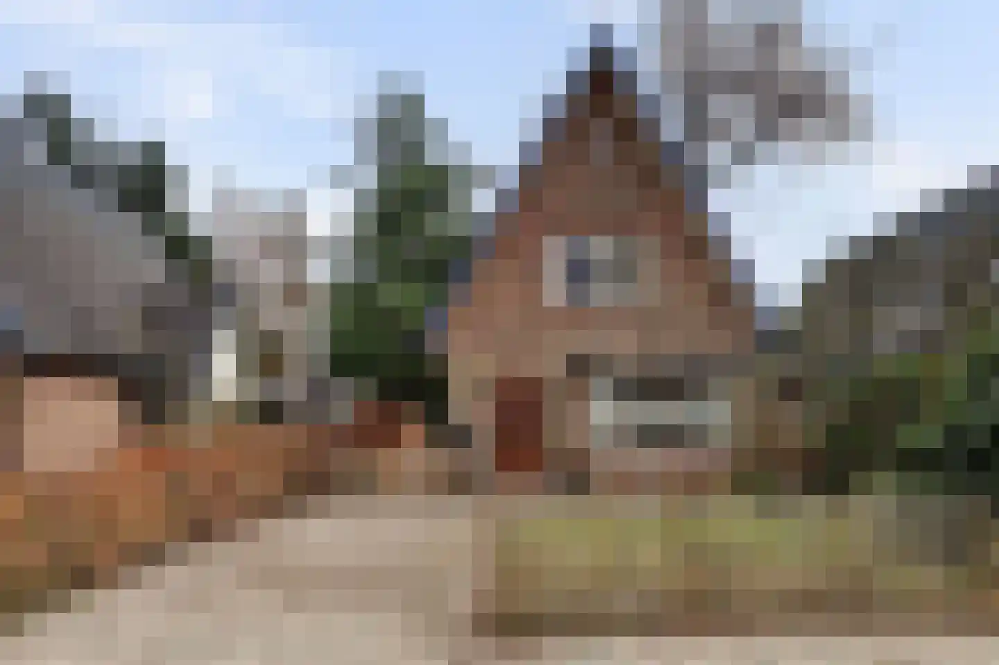 G.P. Duuringlaan 41 Ugchelen thumbnail 49